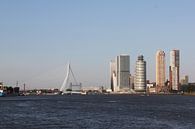 Rotterdam vanaf het water van Tamara & Mariëlle van #Scherpzinniger thumbnail