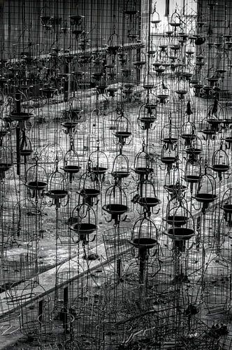 Stille Zeugen der Tiefe von Frans Nijland