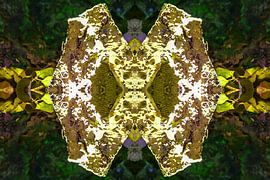 Das X von Jürgen Döring