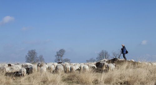  Le berger et son troupeau