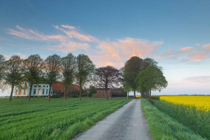 Sunset near a rapeseed field and a borg by Hillebrand Breuker