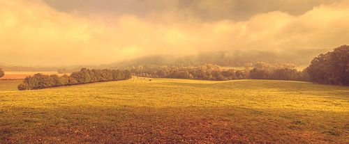 Mistig uitzicht op het Groote Bos bij Heijenrath in Zuid-Limburg