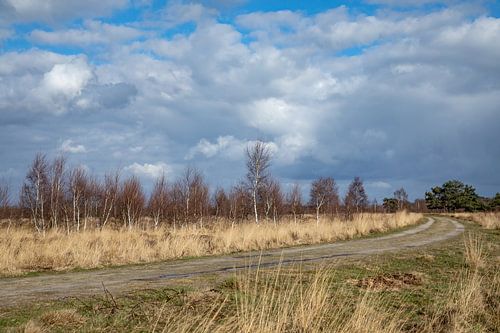 Nuages au-dessus du paysage de Peelland