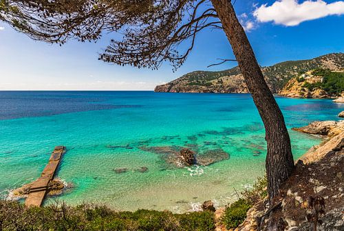 Idyllic sea view of the coast bay in Camp de Mar, Mallorca