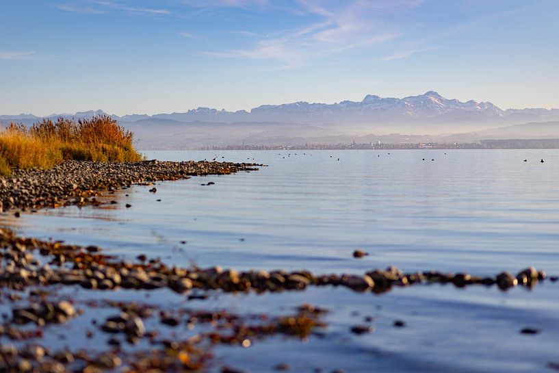 Bodensee im Herbst von Jan Schuler