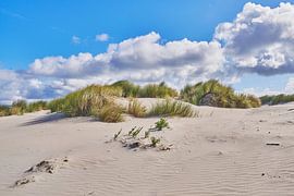 Duin op Goeree-Overflakkee
