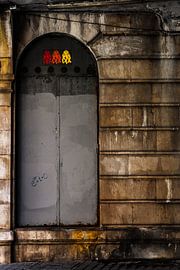 Euler's identity by Danny Engelbarts