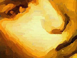 Face me by Judith Robben