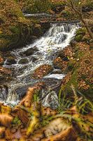 kleiner Wasserfall im malerischen Style