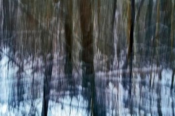 Abstrakte Fotografie - Waldstück im Winter