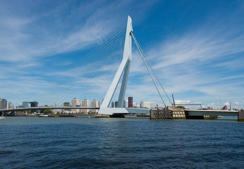 Erasmusbrug Rotterdam van Brian Morgan