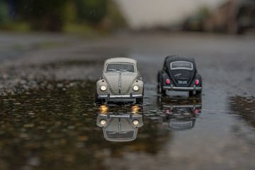 Deux coléoptères sous la pluie sur John van de Gazelle fotografie