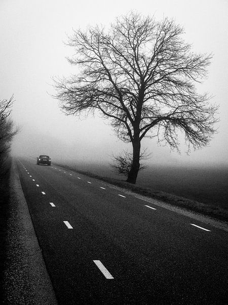 Disparaître dans le silence par Sjoerd Lammers