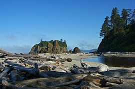 Ruby beach, Washington, USA by Jeroen van Deel