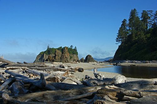 Ruby beach, Washington, USA