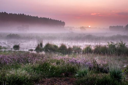 Zonsopkomst op de Teut in Limburg