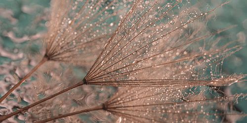 Panorama van druppeltjes met turqouise