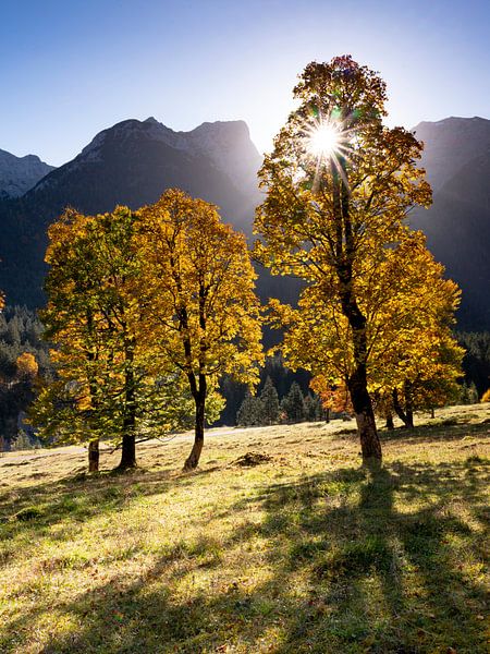 Herbststimmung am "Grossen Ahornboden" von Andreas Müller