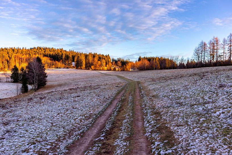 Kleine Sonnenuntergangswanderung zum Ruppberg bei Zella-Mehlis - Thüringen - Deutschland von Oliver Hlavaty