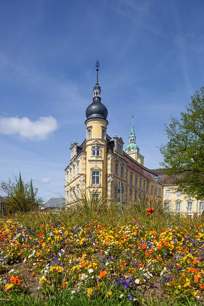 Château d'Oldenburg, Oldenburg in Oldenburg, Basse-Saxe, Allemagne par Torsten Krüger