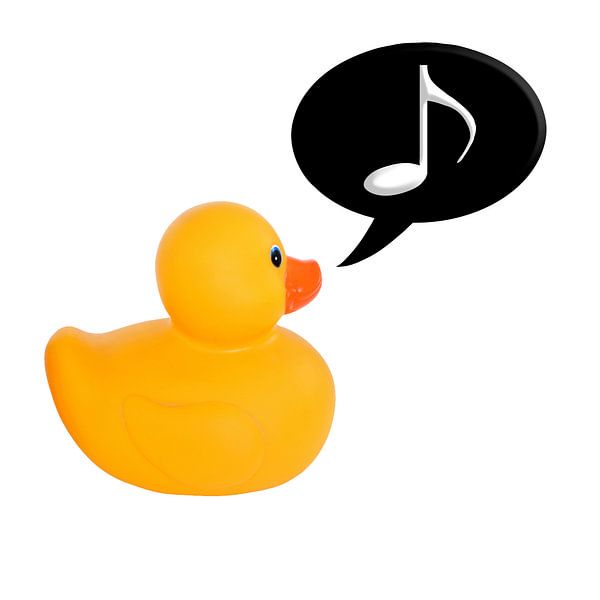 Singende Ente von Grüntyers .