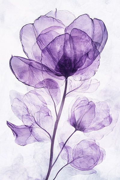 Transparent purple flower art by Imperial Art House