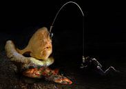 angler fish by Dray van Beeck thumbnail