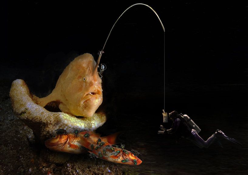 angler fish by Dray van Beeck