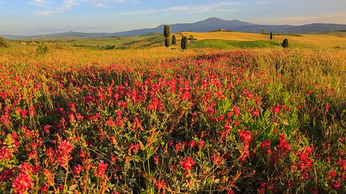 Val d'Orcia, Toscane, Italië