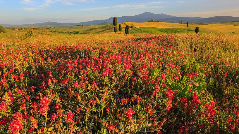 Val d'Orcia, Tuscany, Italy by Henk Meijer Photography