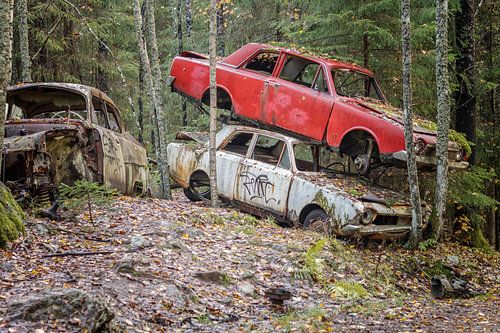 Roestige erfenissen in het bos - autokerkhof in Zweden