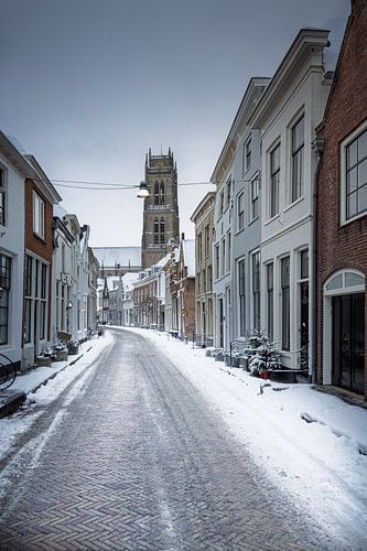 Zaltbommel Winter