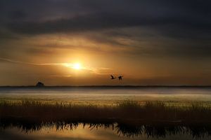  Sunrise van Michelle Zwakhalen