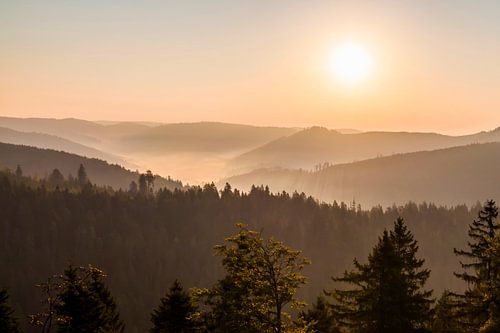 View from the Schliffkopf in the Black Forest at sunrise