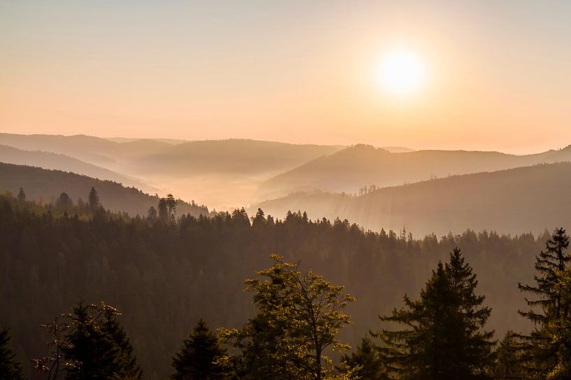 Vue du Schliffkopf en Forêt Noire au lever du soleil sur Werner Dieterich