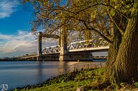 Pont de Botlek