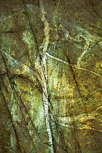 BRANCHE D'ARBRE ABSTRAITE