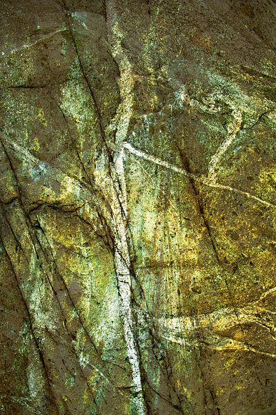 ABSTRAKTER BAUMZWEIG von Petra Terpstra