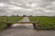 Niederländische Polderlandschaft mit kleiner Brücke und Mühle von Ruud Morijn Miniaturansicht