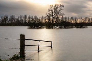 Fence in the Rhine by Mark Bolijn