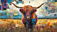 Highlander in Farbkontrast