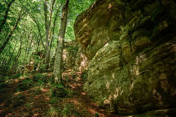 grote rotsformaties in het bos de mullerthal in luxemburg