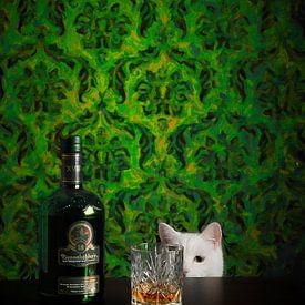 Still leven met kat en whisky von Patrycja Izabela Lassocinska
