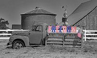 Idaho Farm truck "FREEDOM"
