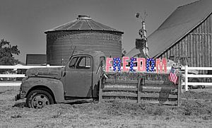 Camion agricole de l'Idaho "FREEDOM" (liberté) sur Willem van Holten