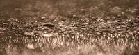 Abstract photography: Panorama of water droplets (beige / taupe) by Marjolijn van den Berg thumbnail