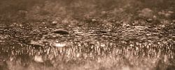 Abstracte fotografie: Panorama van waterdruppeltjes (beige / taupe)