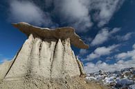 Bisti Badlands in de winter New Mexico, USA van Frank Fichtmüller thumbnail