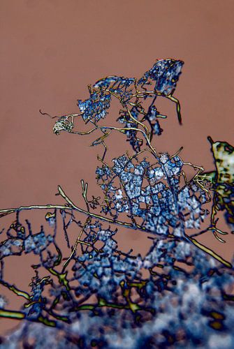 Abstraktie van Ding #002a