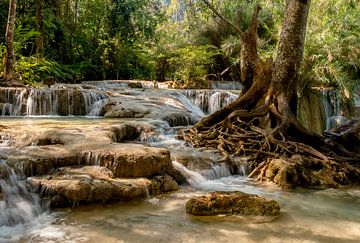 Wasserfall mit Baumwurzeln von Corrie Ruijer